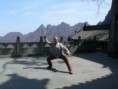 /album/wudang-20081/wudang-2008-12-jpg/